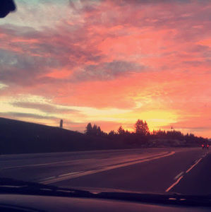 Meet your Posher, Siena